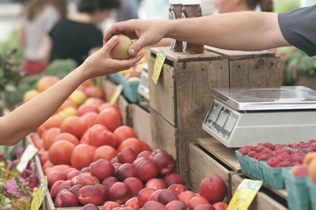 Fiera dell'Assunta - Mercato - Novi Velia