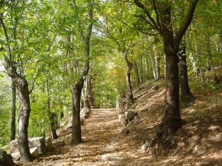 Scavi archeologici della Civitella