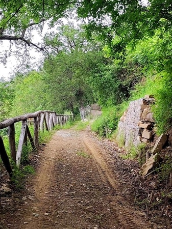 Sentiero della contemplazione