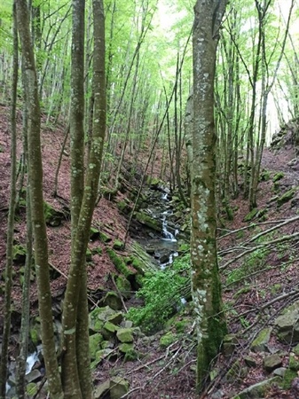 Percorso del Torrente Silenzio