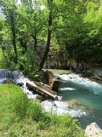 Dalle Sorgenti Gorgonero alla Grava di Vesalo