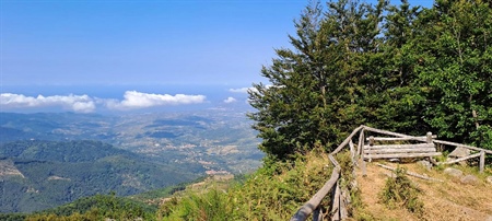 Sentiero dei Pellegrini - Da Novi Velia al Santuario della Madonna del Monte Sacro di Novi Velia