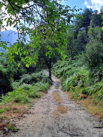 Santuario della Madonna del Monte Sacro di Novi Velia - Passo della Beta – S. Menale