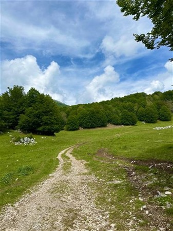 Sentiero Bosco Vetusto “Valle del Ciuccio”