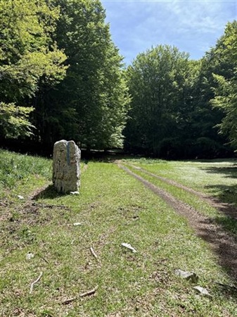 Sentiero ad anello sul Monte Panormo