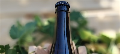 Birrificio dell'Aspide di Vincenzo Serra