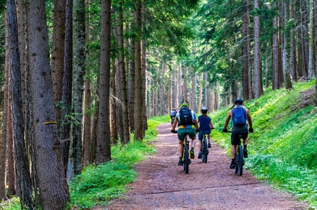 Pedalata Ecologica Alburnina